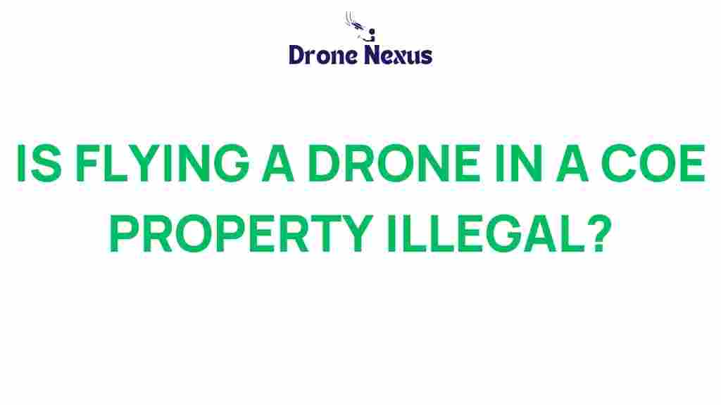 flying-drone-commercial-property-illegal