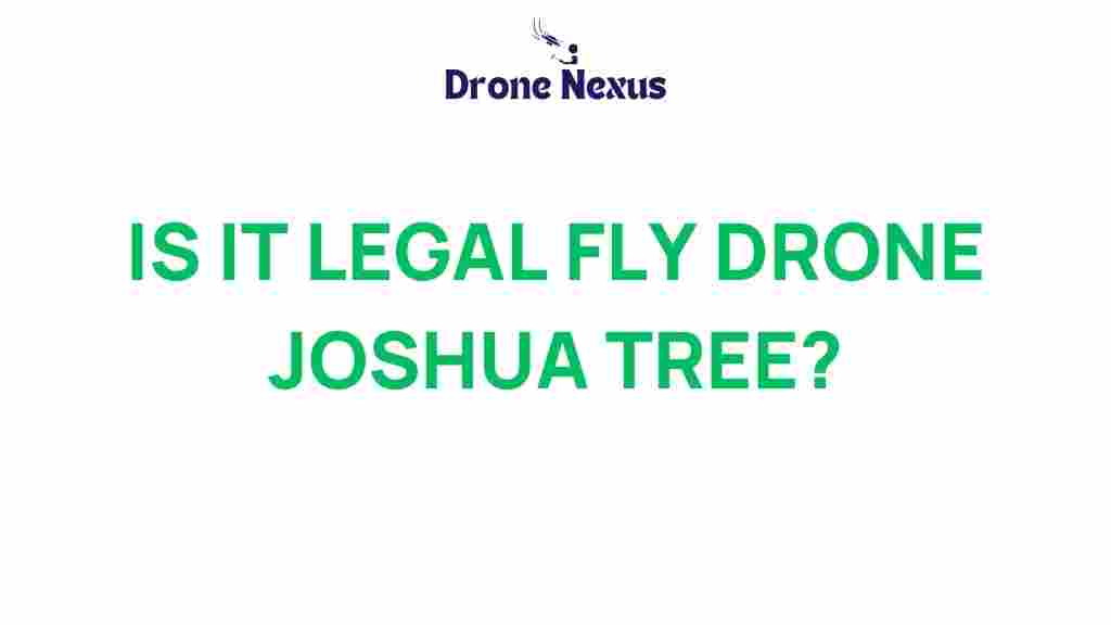 legal-drone-fly-joshua-tree