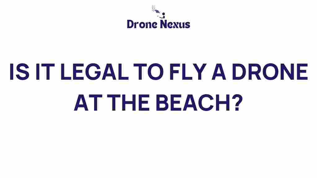 beach-drone-dilemma