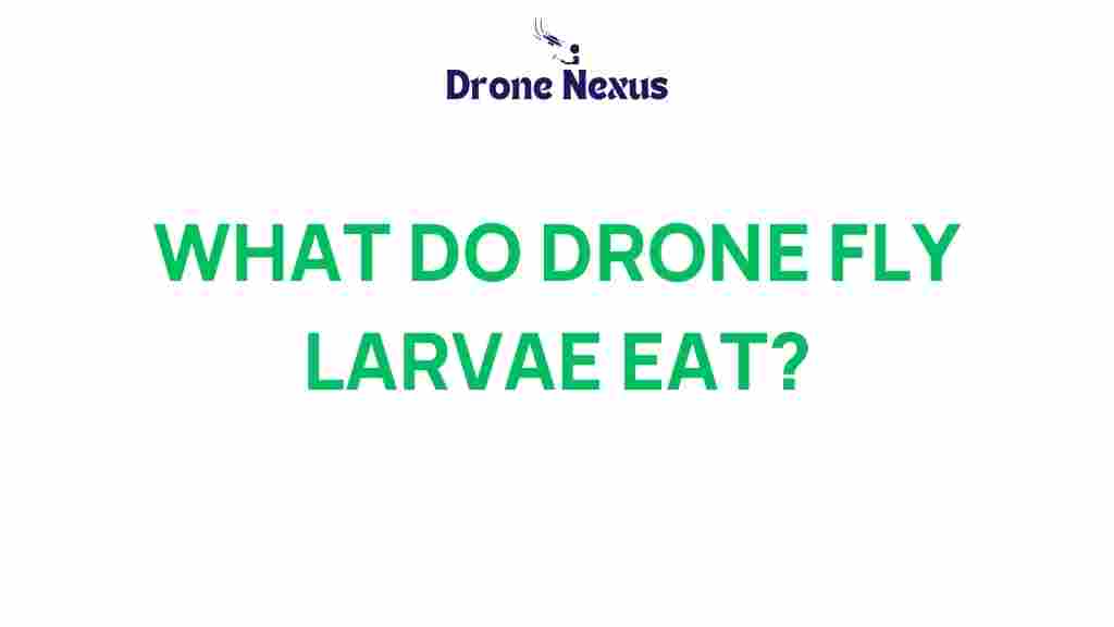 drone-fly-larvae-diet