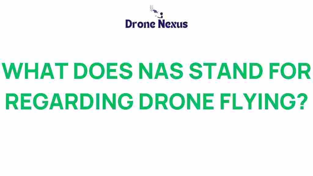 nas-drone-safety-airspace
