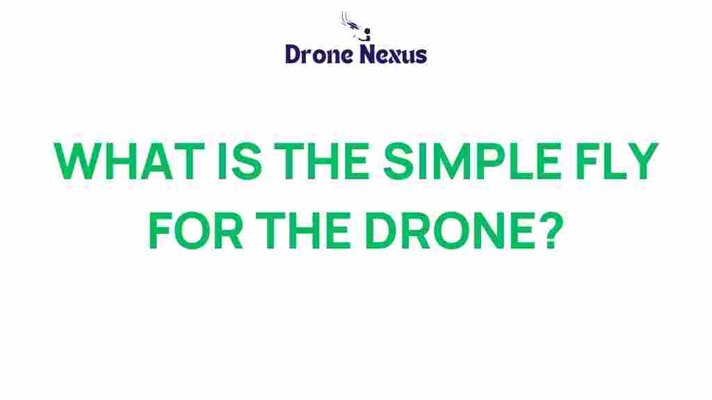 simple-fly-drone-innovation