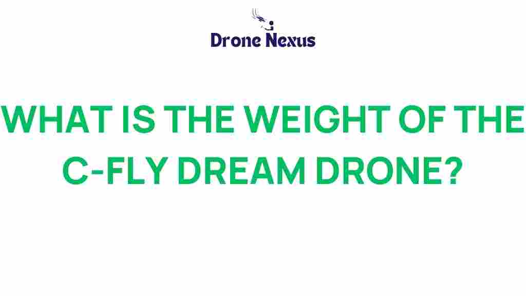 c-fly-dream-drone-weight