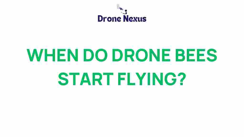 drone-bees-flight-timeline