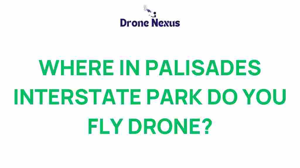 drone-flying-palisades-interstate-park