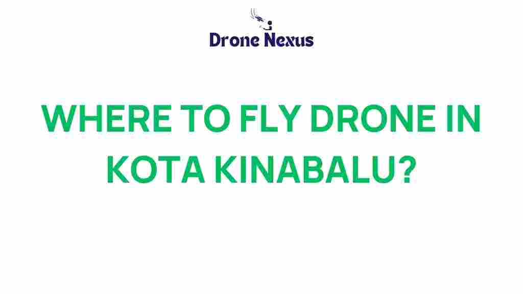 drone-flight-kota-kinabalu