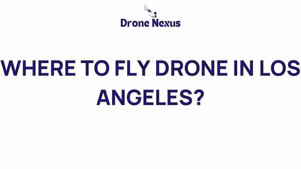 where-to-fly-drone-in-los-angeles
