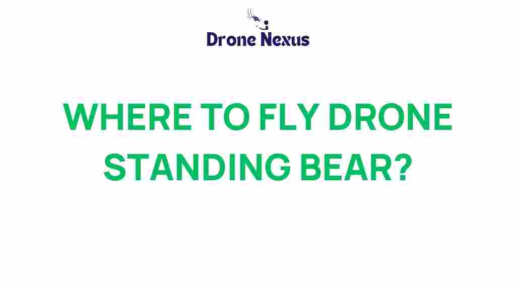 drone-flying-standing-bear