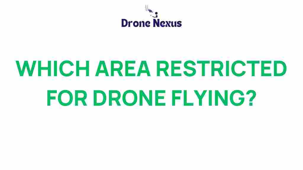 drone-restrictions-off-limits