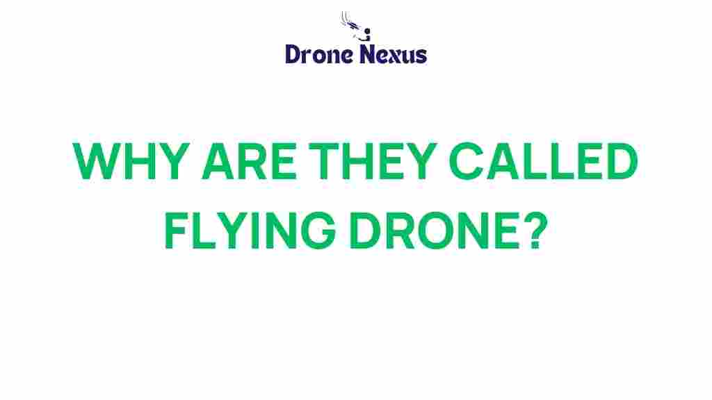 flying-drones-naming-history
