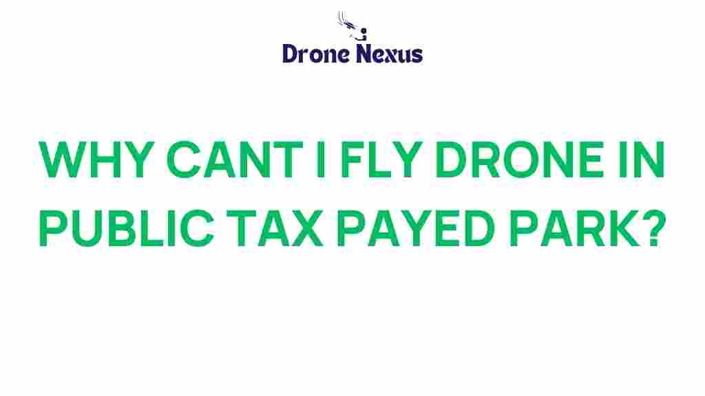 drones-in-public-parks