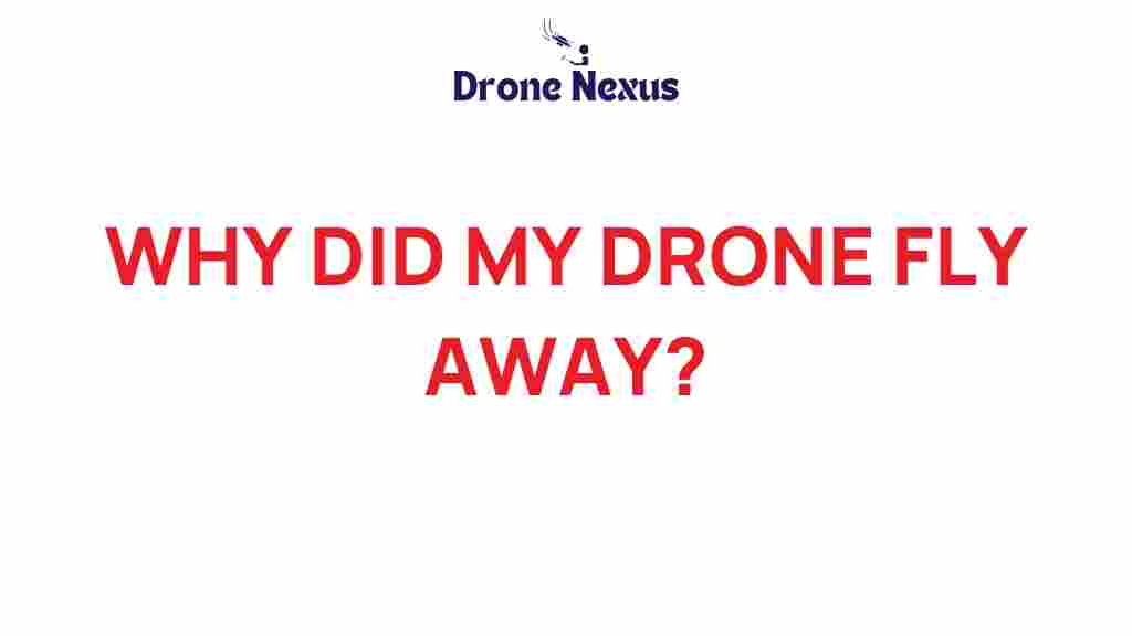 why-did-my-drone-fly-away