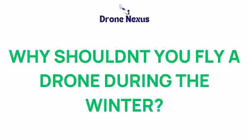 winter-drone-flights